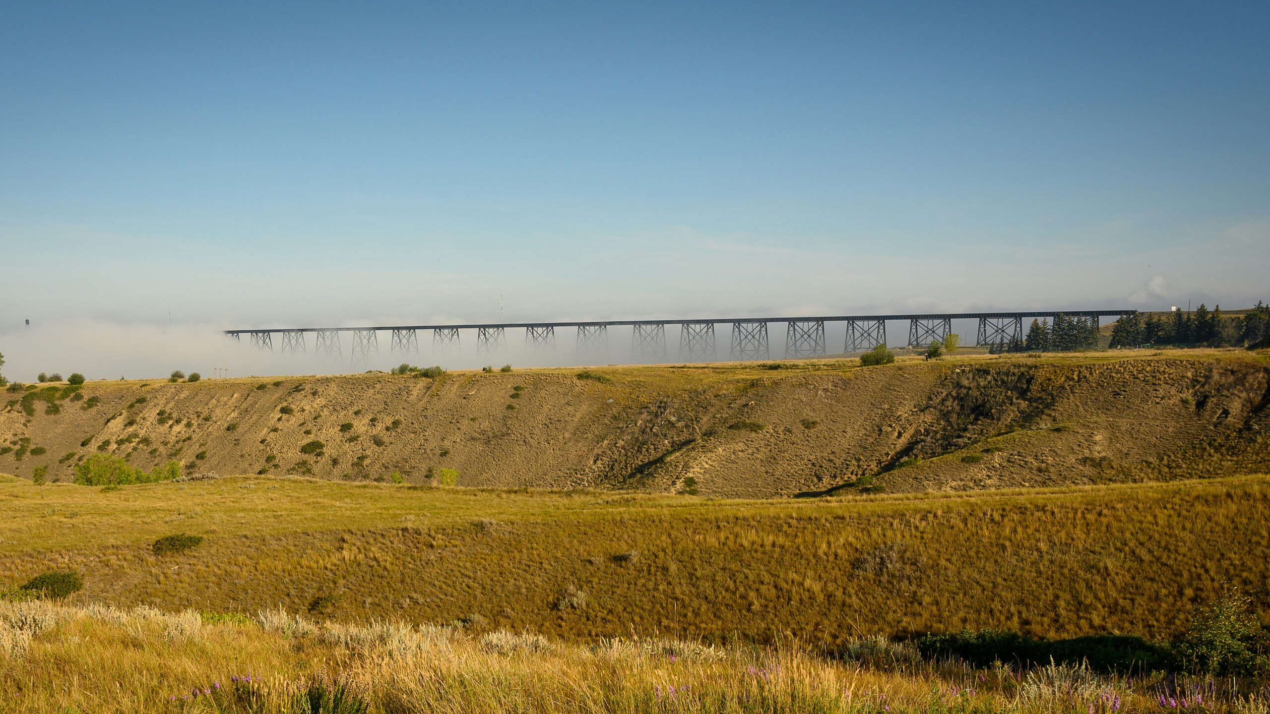 Lethbridge to host 2025 CCAA Curling Canada Championships