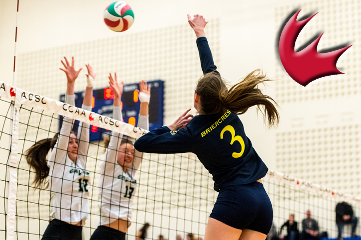 2020 CCAA Volleyball Wildcards
