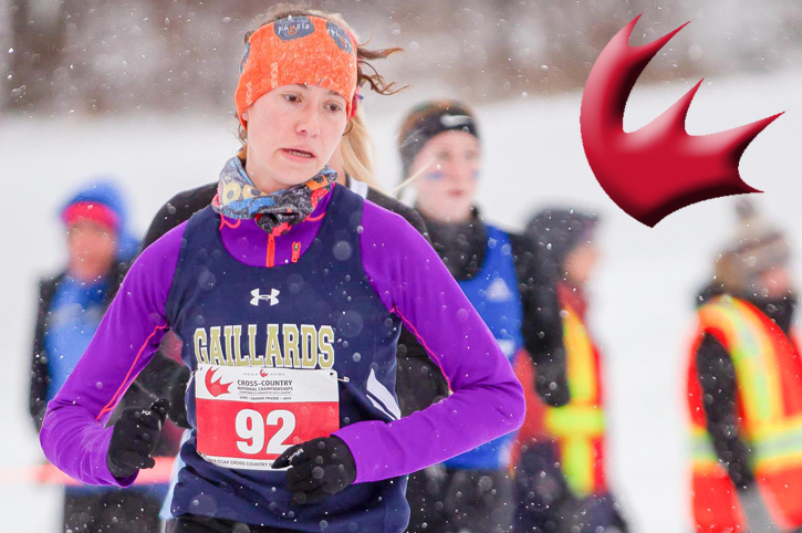 RSEQ c&eacute;geps to co-host Cross-Country Running Nationals