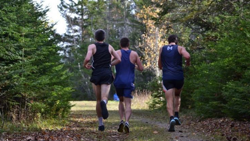 CCAA Championships return to DAL AC