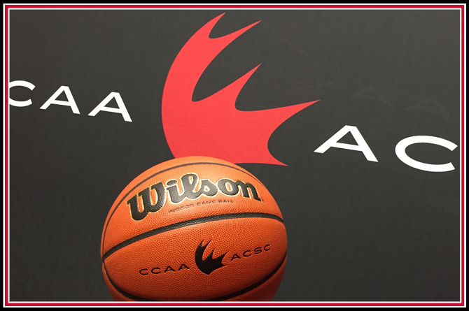 The CCAA Wilson Evolution is on its way